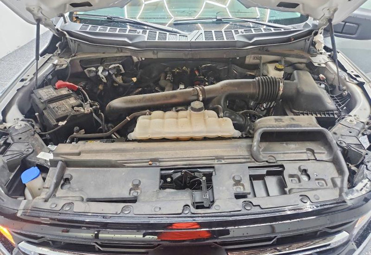 2025 Ford F-150 XLT - 1FTEW3K82SKE76699 photo 22