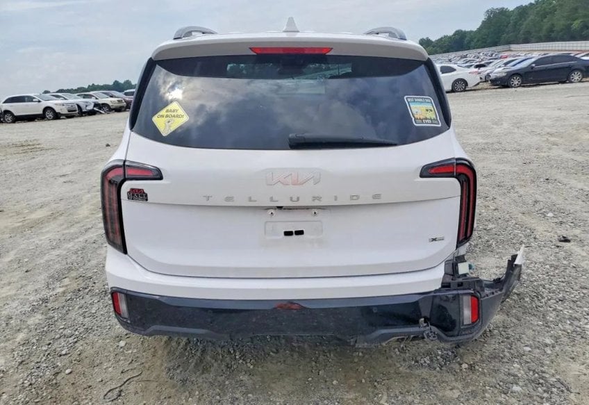 2024 Kia Telluride EX X-Line - 5XYP3DGC0RG447593 photo 6