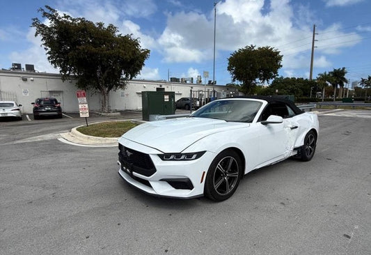 2024 Ford Mustang EcoBoost - 1FAGP8UHXR5129572 photo 1