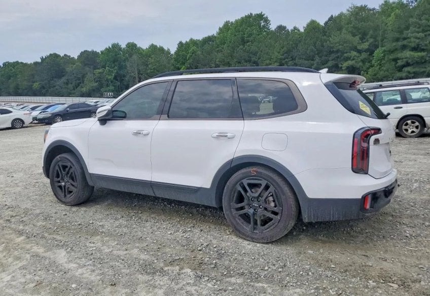 2024 Kia Telluride EX X-Line - 5XYP3DGC0RG447593 photo 3