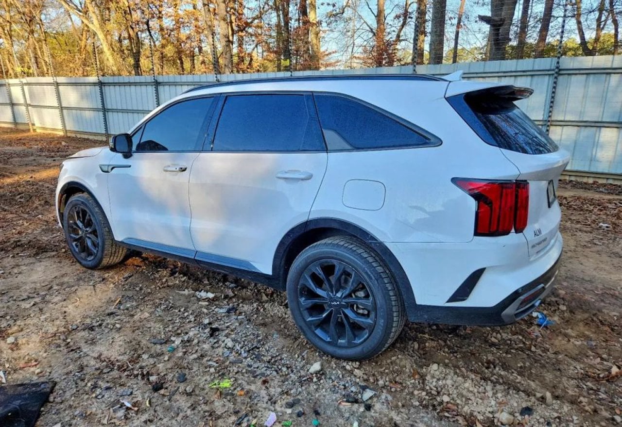 2023 Kia Sorento SX - 5XYRKDLF5PG204841 photo 13