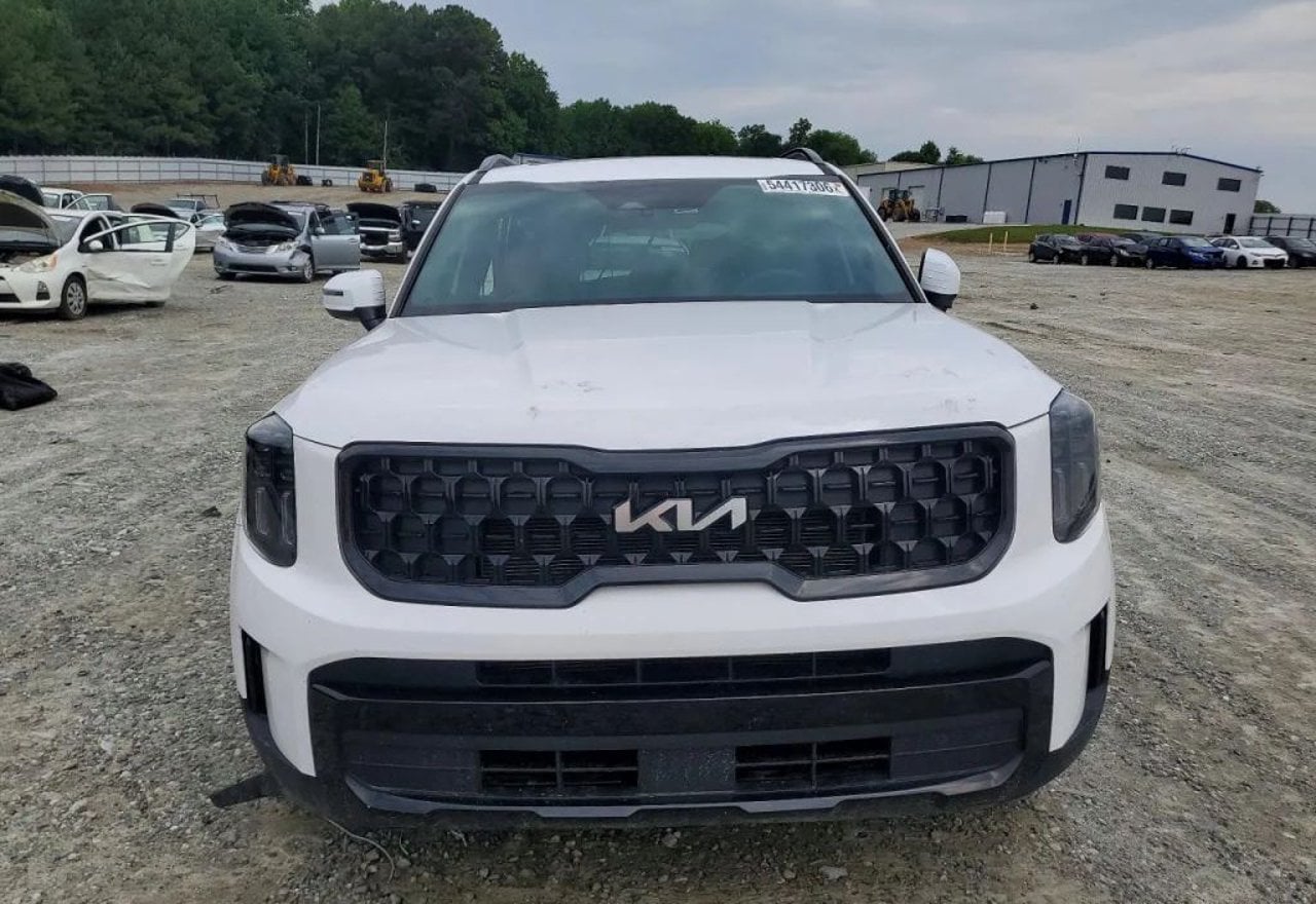 2024 Kia Telluride EX X-Line - 5XYP3DGC0RG447593 photo 15