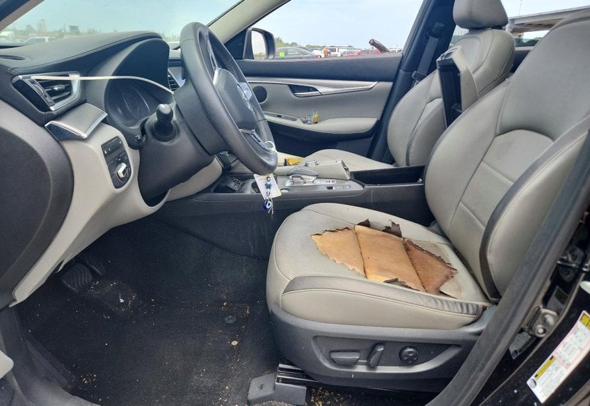 2023 Infiniti QX50 Luxe - 3PCAJ5BA4PF124367 photo 7