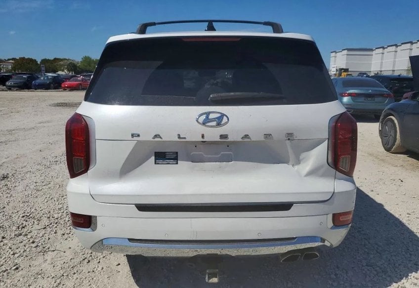 2020 Hyundai PALISADE Limited - KM8R54HE5LU082235 photo 6