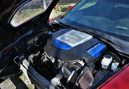 2010 Chevrolet Corvette ZR1 - 1G1YN2DT6A5800352 photo 17
