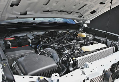 2024 Toyota Tacoma SR5 - 3TYLB5JN8RT059620 photo 11