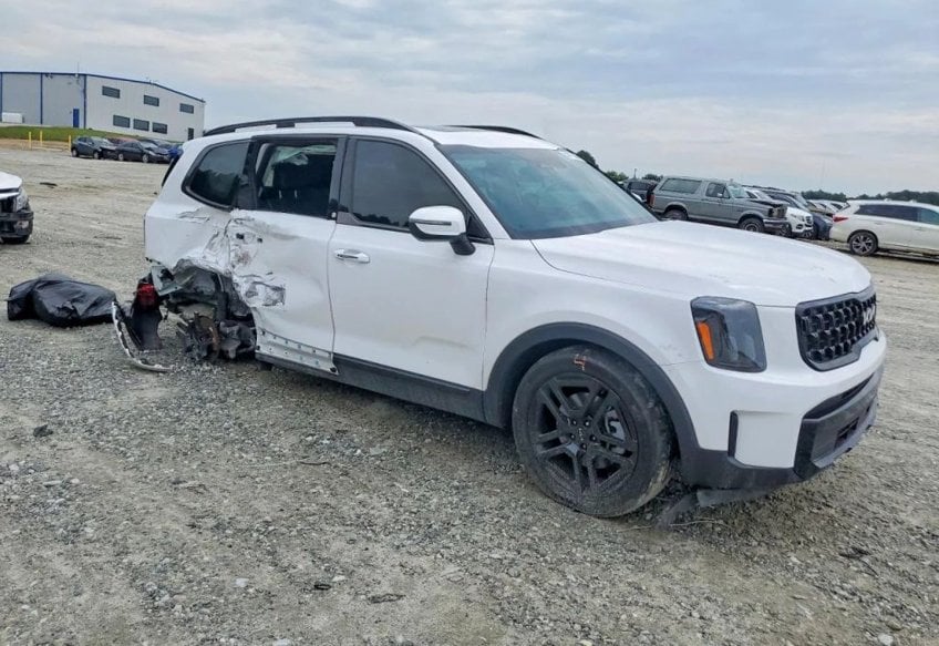 2024 Kia Telluride EX X-Line - 5XYP3DGC0RG447593 photo 2