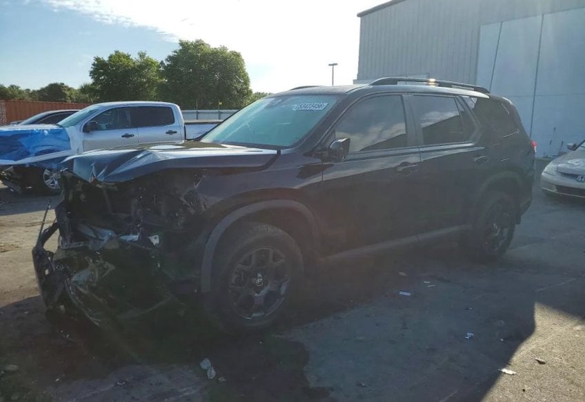 2024 Honda Pilot TrailSport - 5FNYG1H68RB022050 photo 2