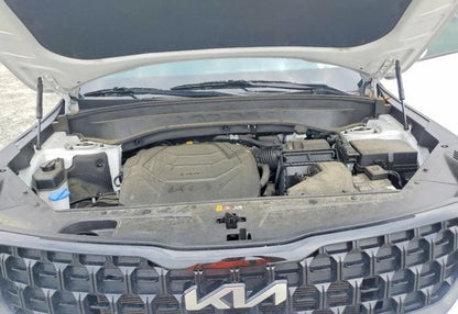 2024 Kia Telluride EX X-Line - 5XYP3DGC0RG447593 photo 10