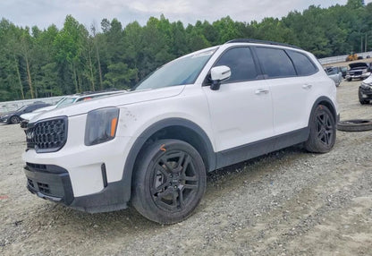 2024 Kia Telluride EX X-Line - 5XYP3DGC0RG447593 photo 11