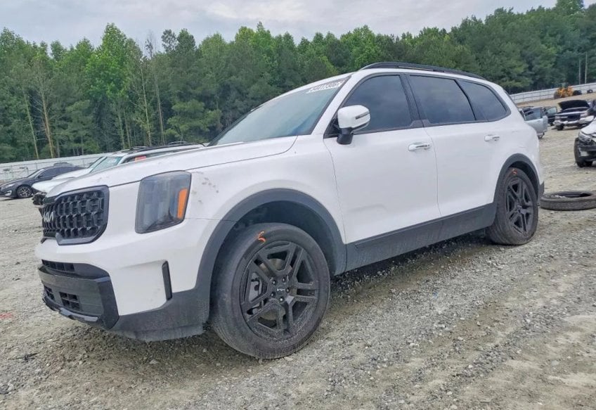 2024 Kia Telluride EX X-Line - 5XYP3DGC0RG447593 photo 1