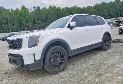 2024 Kia Telluride EX X-Line - 5XYP3DGC0RG447593 photo 1