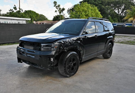 2024 Hyundai SANTA FE XRT - 5NMP3DGLXRH025580 photo 2